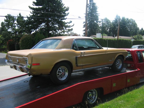 Sunlit Gold 1968 Golden Nugget Special Mustang Hardtop