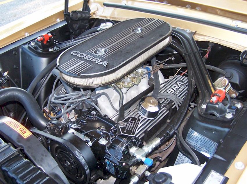 1968 Shelby GT-350 Engine