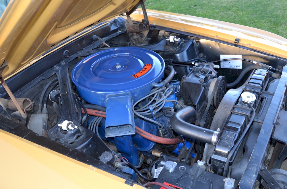 1969 Mustang 302ci Engine