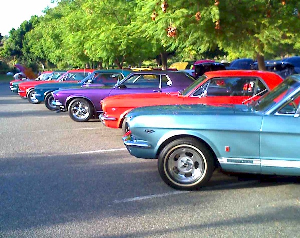 Mustang Line Up