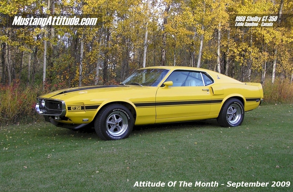 Grabber Yellow 69 Shelby GT350 Convertible