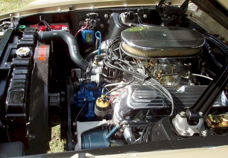 1969 Mustang V8 Engine