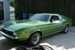 Medium Lime Metallic Green 1972 Mustang Fastback