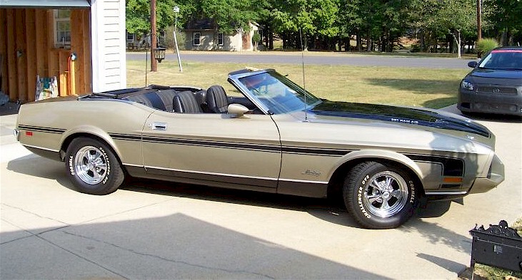 Sunny 73 Mustang