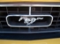 Mustang Grille Pony Close-up