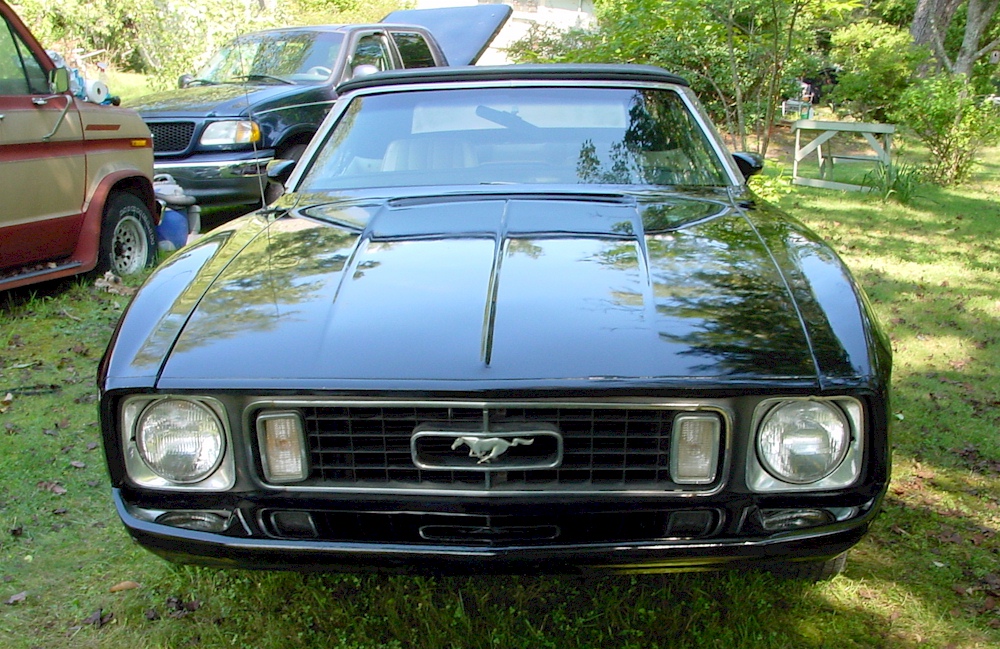 Special Order Black 1973 Mustang Convertible