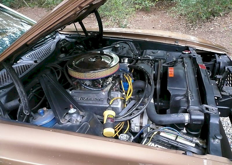 1973 Mustang 351ci Engine