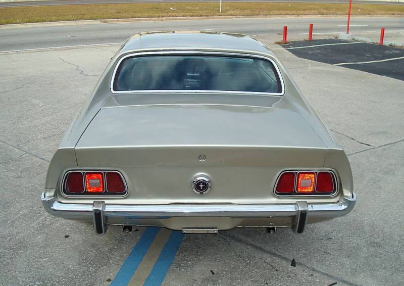 Light Pewter 1973 Mustang Hardtop