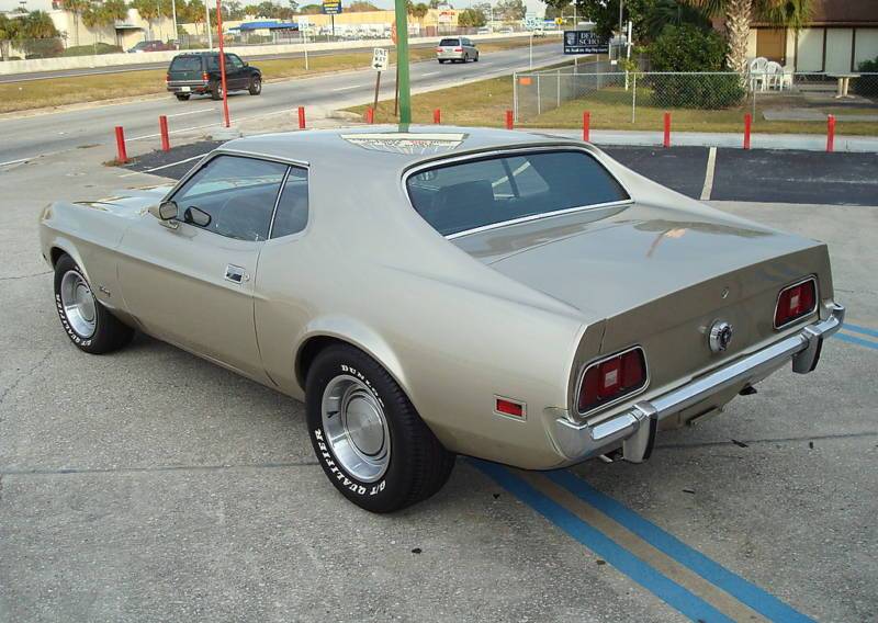 Light Pewter 1973 Mustang Hardtop