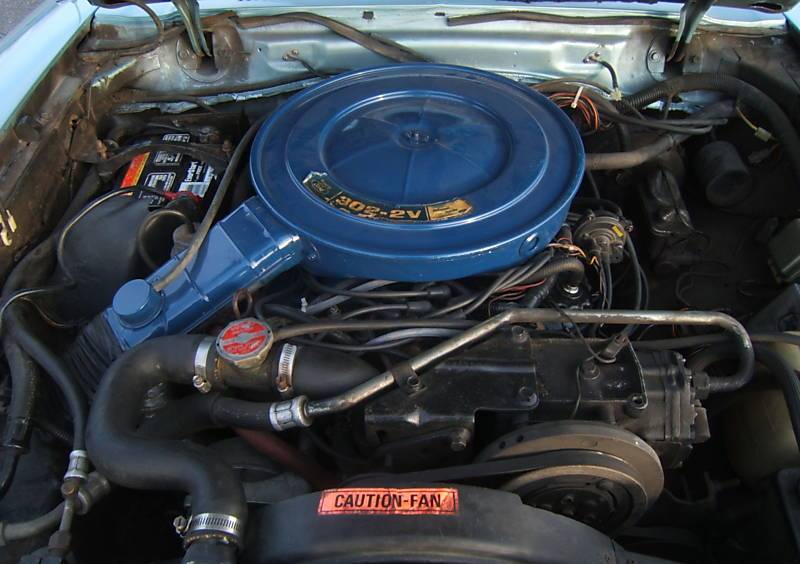 1975 Mustang F-code 302ci 5.0L V8 Engine