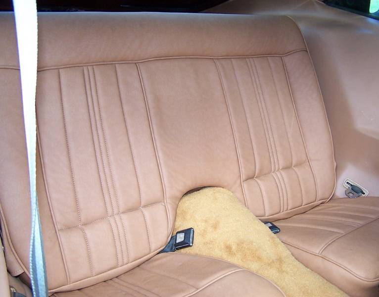 Back Seat 1978 Mustang II King Cobra Hatchback