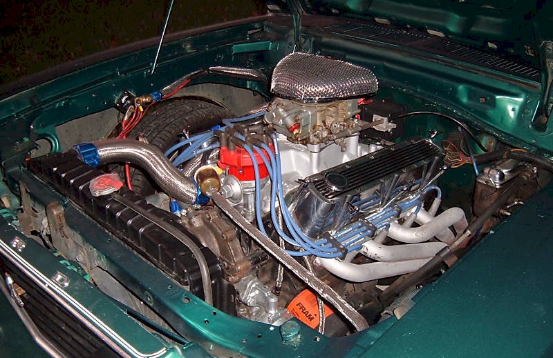 1995 Cobra Engine