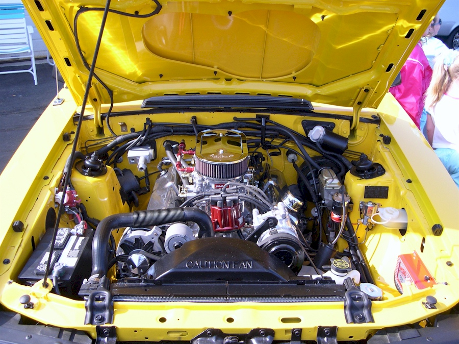 1979 Mustang Cobra Engine