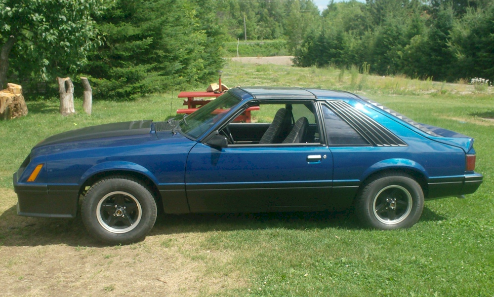Blue 1981 Mustang Cobra