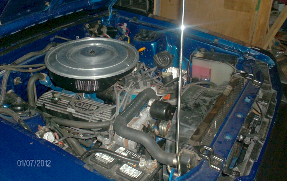 1981 Mustang V8 Engine