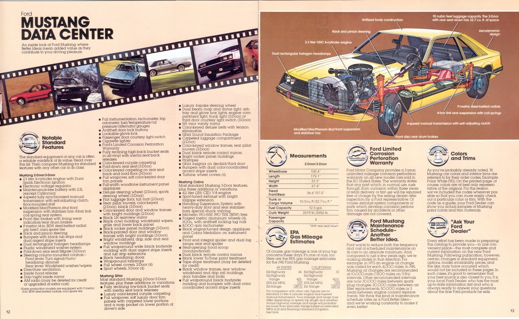 1981 Mustang Standard Features