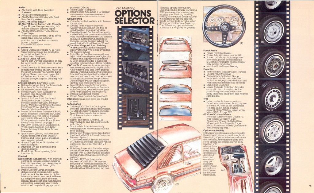 1981 Mustang Options