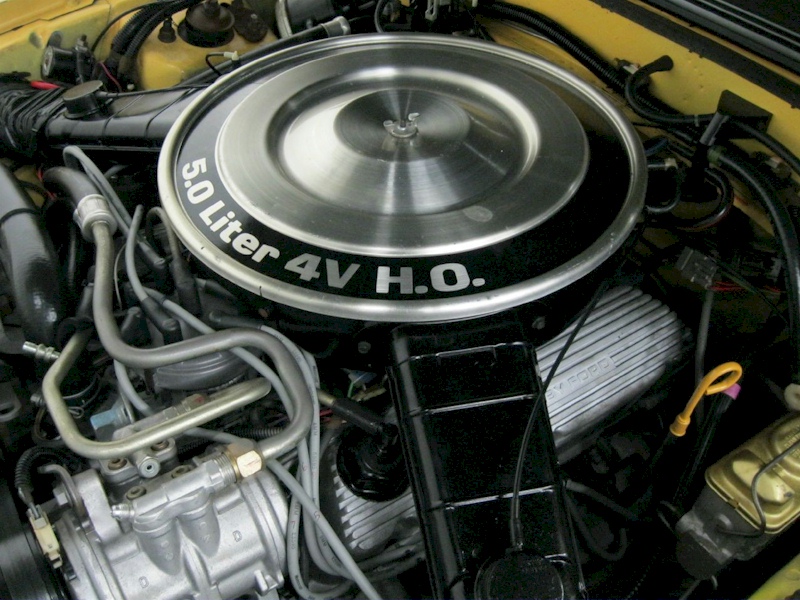 1983 Ford Mustang 5.0L Engine