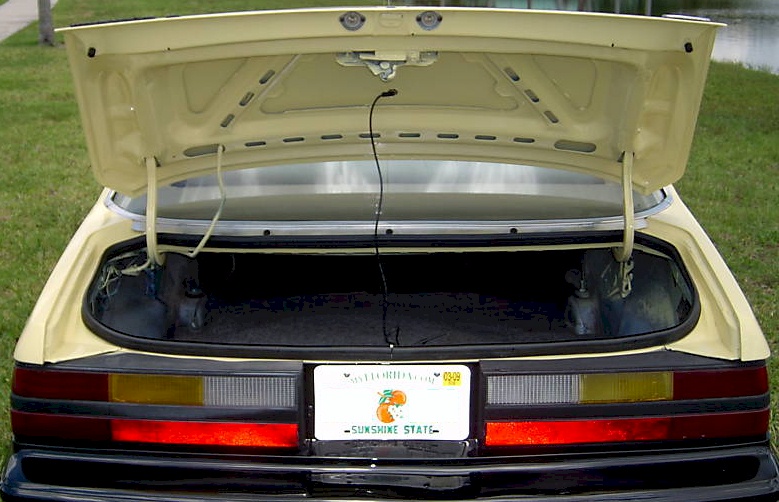 1984 Mustang Trunk
