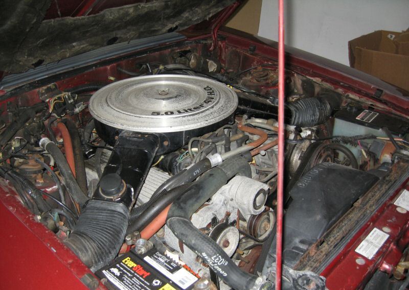 1985 Mustang M-code V8 engine