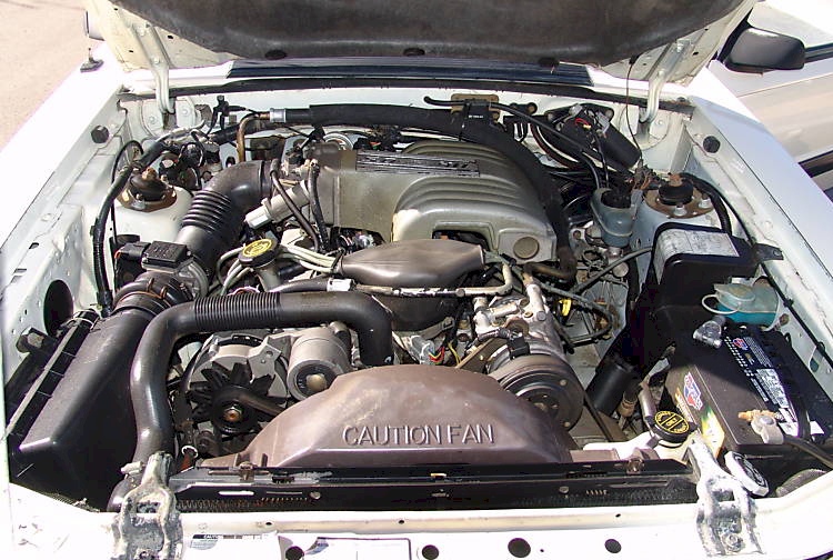 1989 Mustang LX 5.0L Engine