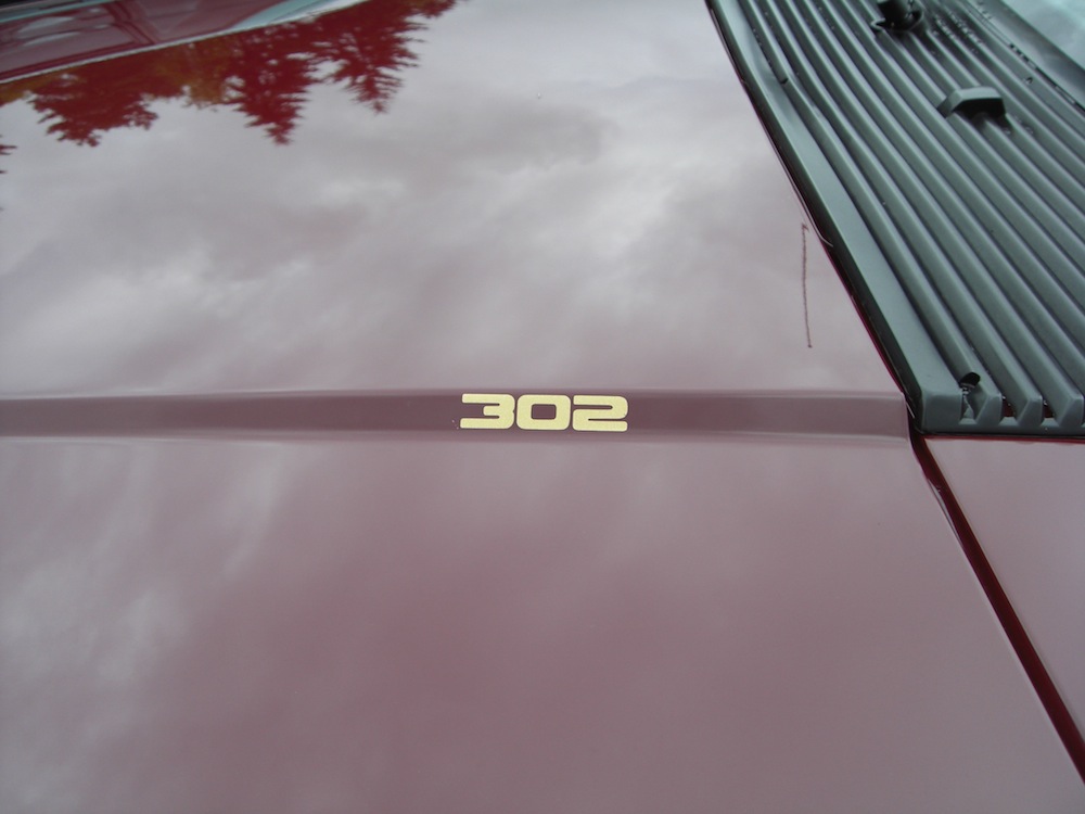 5.0 hood graphics