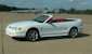 Crystal White 1995 Mustang GT Convertible