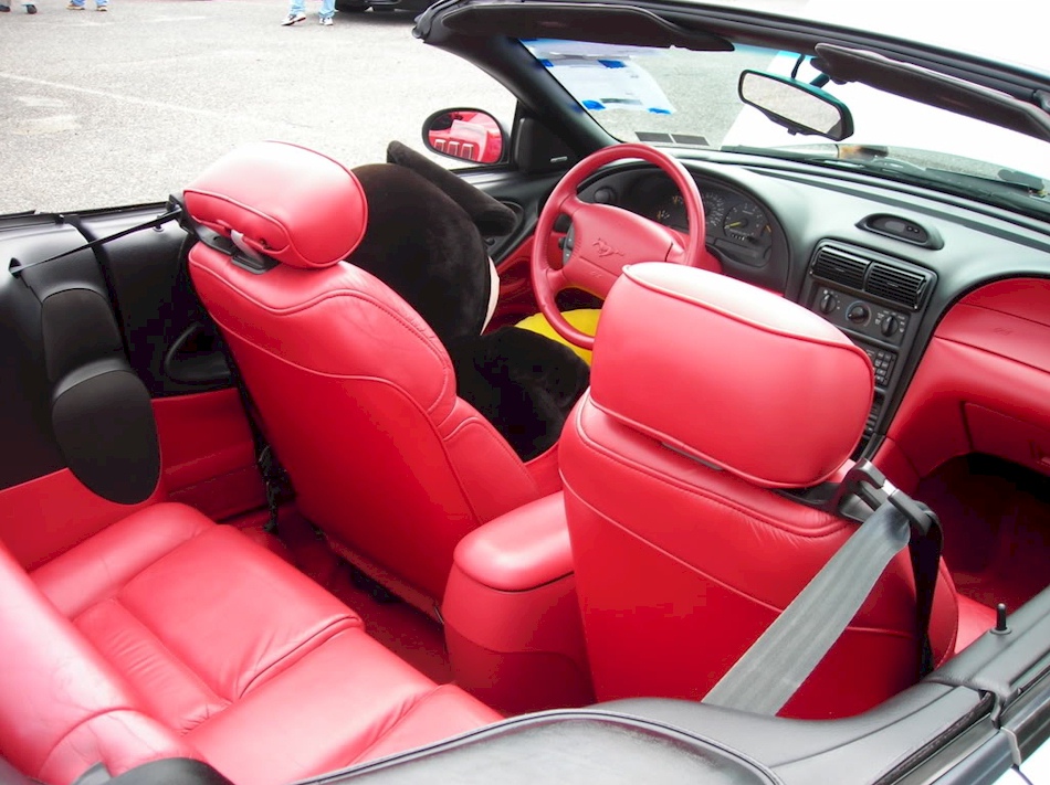 1995 Mustang Interior
