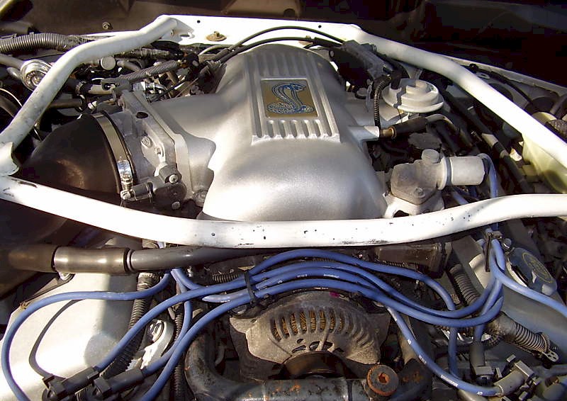1997 Cobra Engine