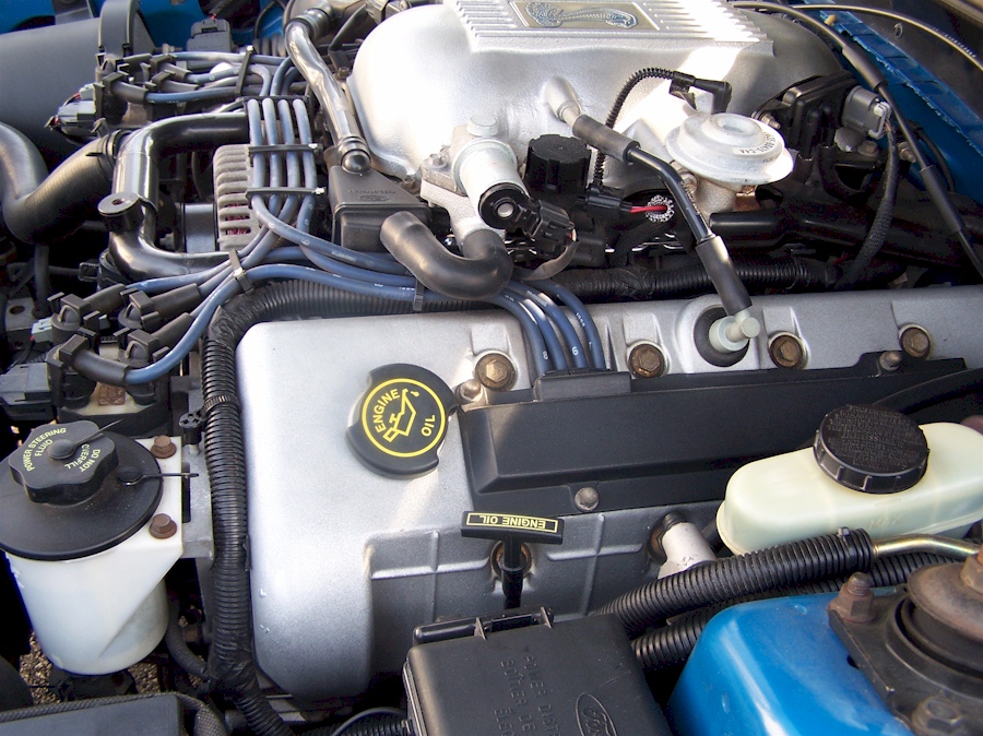 1998 Cobra Engine