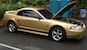 Sunburst Gold 2000 Mustang GT Coupe