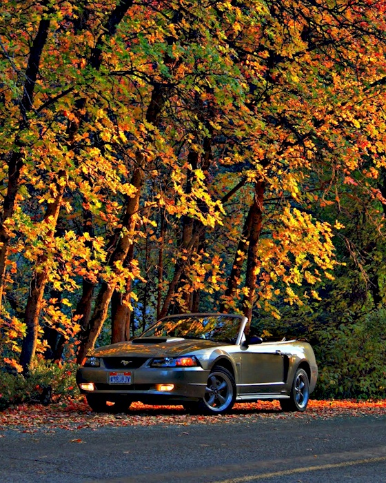 Mineral Gray 2001 Mustang GT Convertible