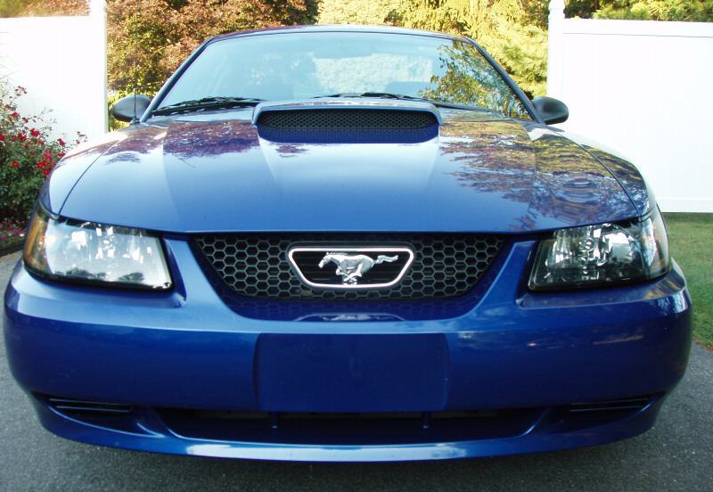 2003 Sonic Blue Mustang front end