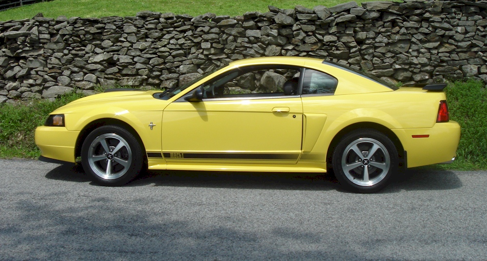Zinc Yellow 2003 Mach 1 Mustang