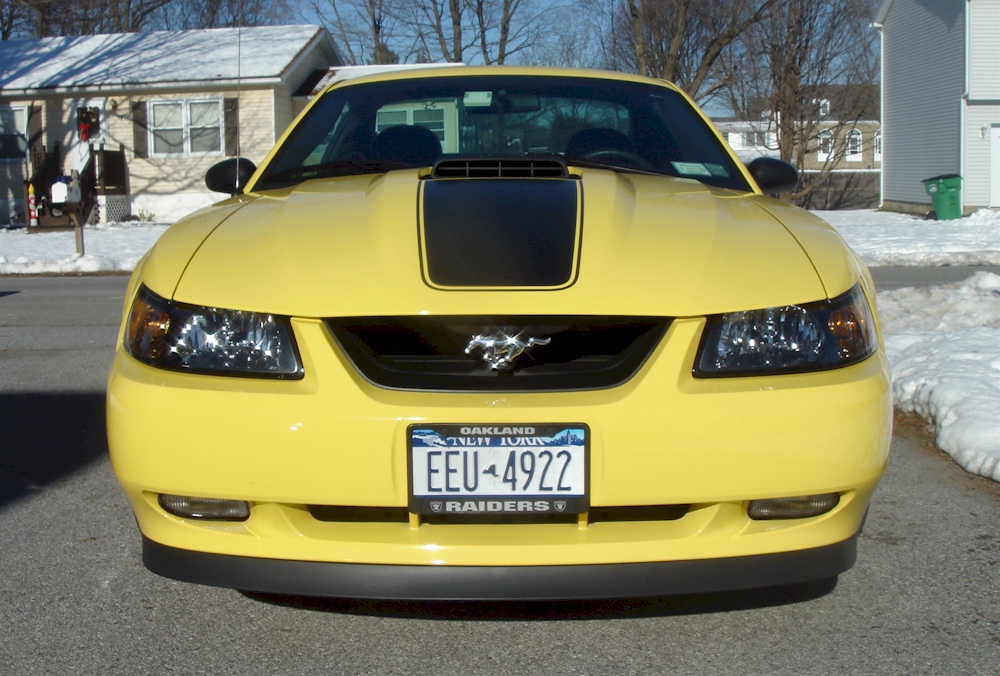 Zinc Yellow 2003 Mach 1 Mustang
