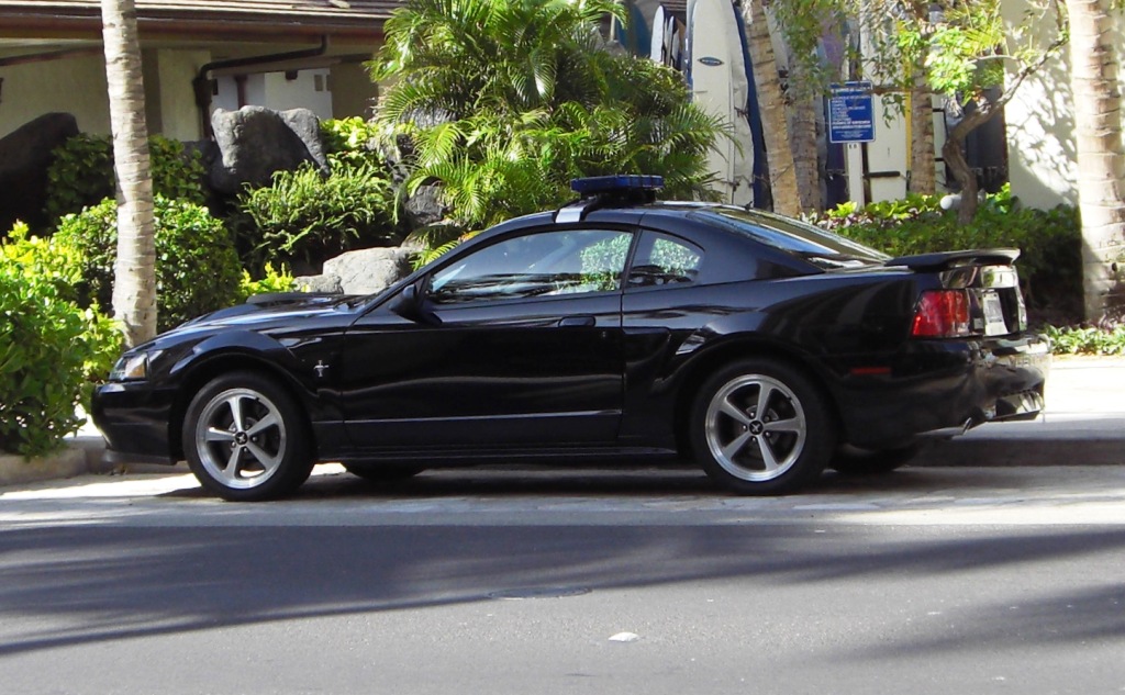 Black 03 Mustang Mach 1 Police SSP Coupe