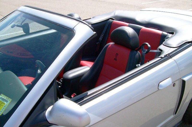 Red and Black Interior 2003 10th Anniversary SVT Cobra Convertible