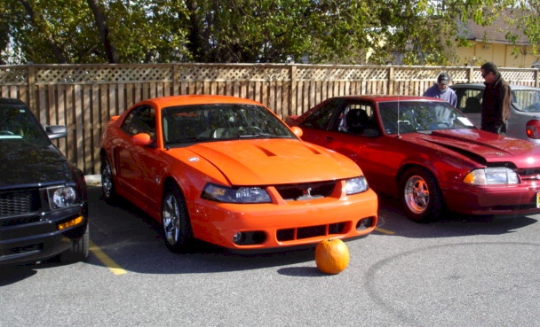 Competition Orange 04 Mustang Cobra