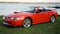 Competition Orange 2004 Mustang GT convertible