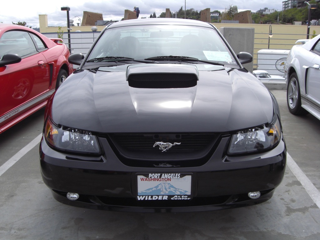 Black 04 Mustang V6 Coupe