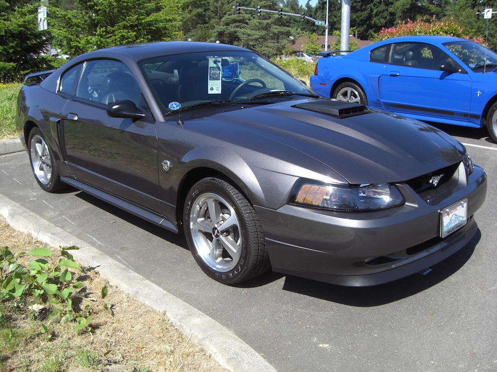 Dark Shadow Gray 2004 Mustang Mach 1 Coupe