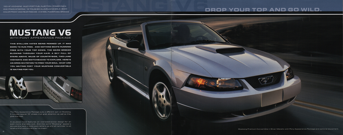 2004 Mustang V6 with Pony Package