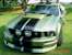 Legend Lime 06 Mustang GT