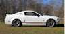 Performance White 2006 Mustang GT