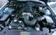 06 Saleen 4.6L V8 Engine