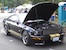 Black with Gold Stripes 2006 Mustang Shelby GT Hertz