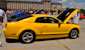 Screaming Yellow 06 Mustang GT