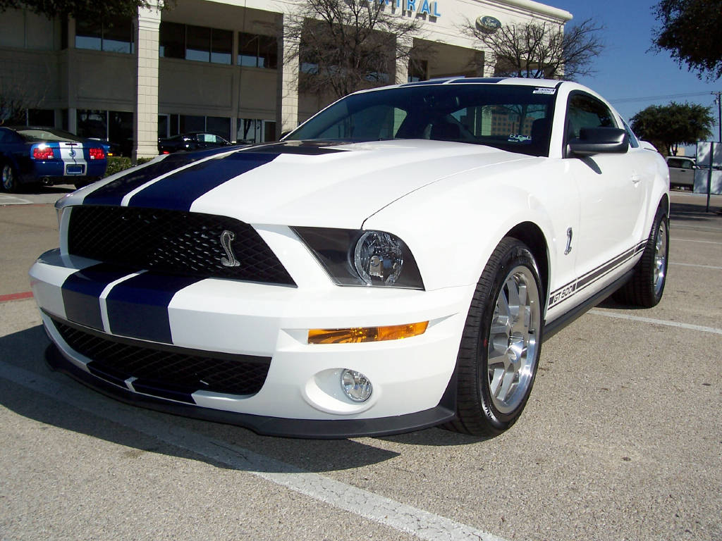 Performance White 2008 Mustang Shelby GT-500 Coupe