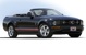 Black 2008 Mustang Warriors in Pink V6 Convertible