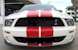 Pefrormance White 09 Shelby GT-500 Red Stripe Coupe